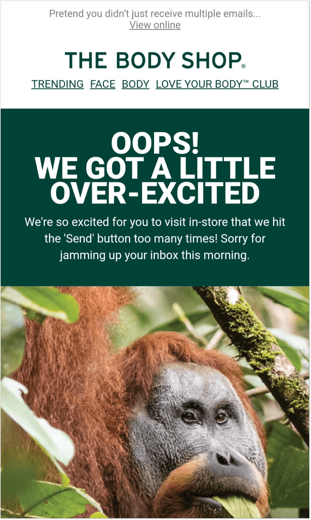 The body shop apology letter